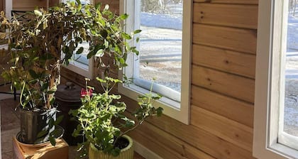 Pura Vida | A Calm Apt Escape Minutes from Camden