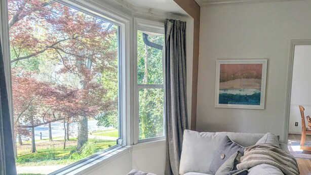 Ein modernes Wohnzimmer mit einer Couch, einer Topfpflanze und einem Bild an der Wand.