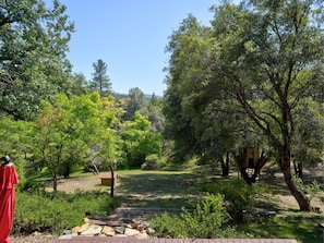 A garden with a wooden deck, a small wooden structure, and a variety of trees.