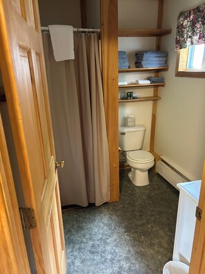 Shower, towels, soap, toilet paper - 1-bedroom Cabin with AC in The Forks, sleeps 6, WIFI and TV (The Forks Pl)