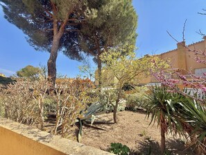 Ein Garten mit verschiedenen Pflanzen, einem Baum und einem Gebäude im Hintergrund.