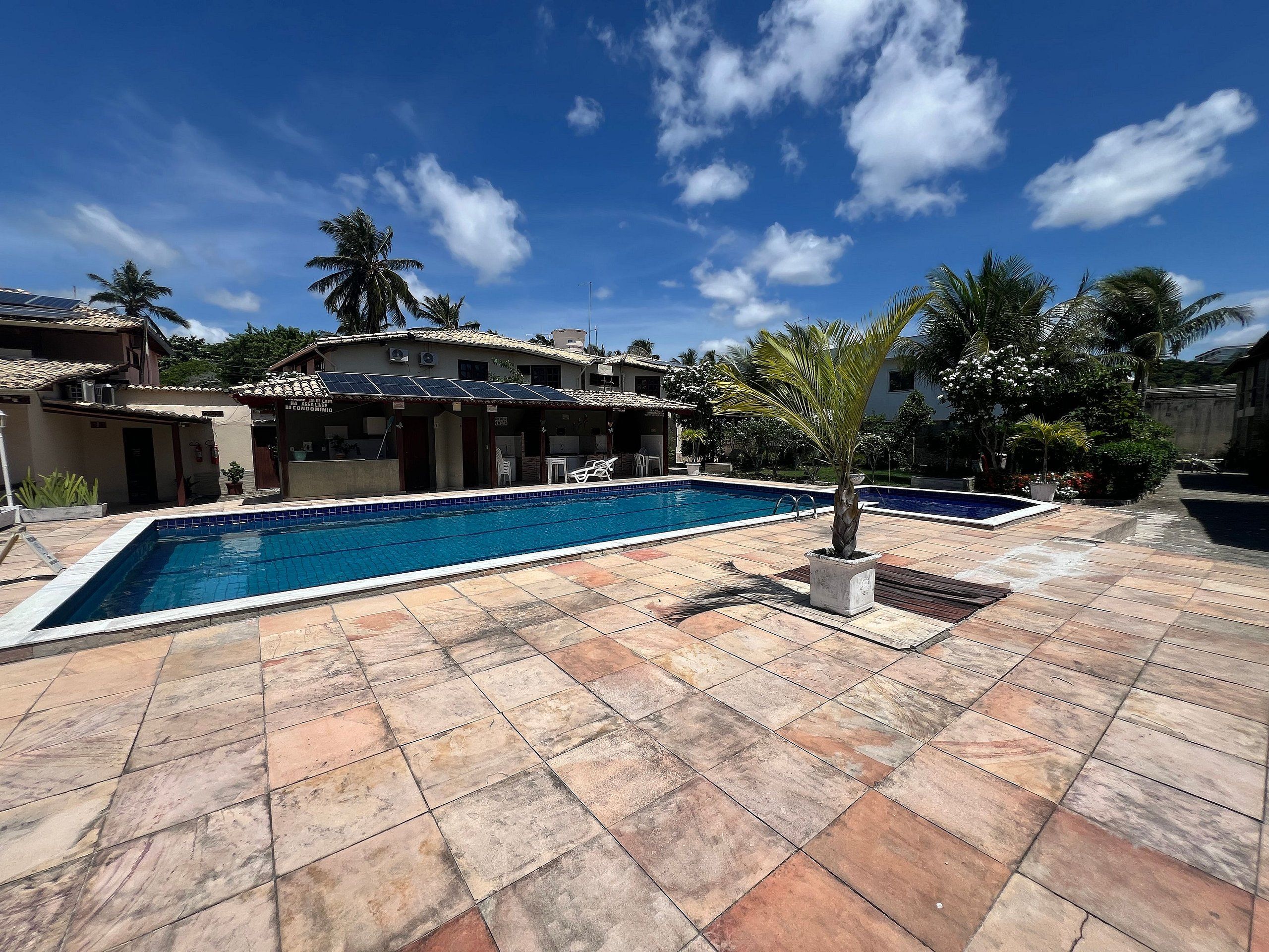 A swimming pool with tiled flooring, a palm tree, and a building with a tiled roof.