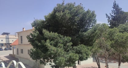 Ryad atlas midelt