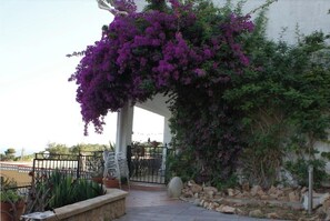 Property grounds - Vacation home, private pool heatable, sea view, Tossa de Mar, quiet, close to the beach, (Tossa de Mar)