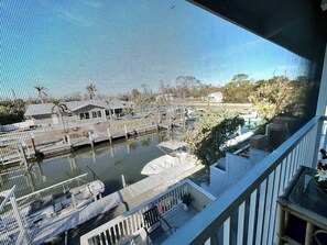 Property grounds - Spot manatees from your balcony (Englewood)