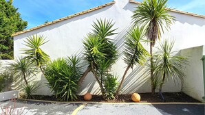 A white building with a sloped roof, surrounded by various palm trees and a few potted plants.