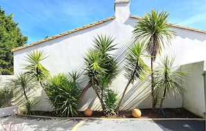 Un edificio blanco con techo inclinado, rodeado de numerosas palmeras y algunas plantas en macetas.