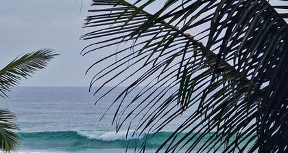 Ohana Surf Guest House