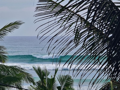 Ohana Surf Guest House