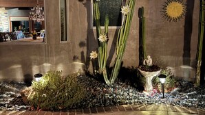 Un edificio con un jardín de cactus, una ventana con vistas y un adorno con forma de sol en la pared.
