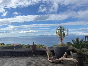 Une terrasse agrémentée de plantes en pot, une vue sur la mer et une côte lointaine.
