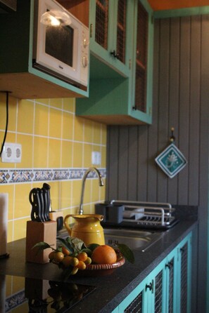 Fridge, microwave, stovetop, toaster - Casa do Laureano (Santo Amaro)