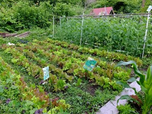 Property grounds - Hitomoshi no Sato (Nanae)