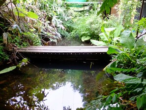 Un puente de madera sobre un estanque rodeado de abundante vegetación.