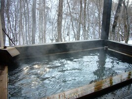 Un jacuzzi interior con vista a árboles sin hojas.