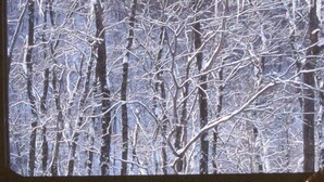 Quarto com uma grande janela com vista para uma floresta nevada. Há duas cadeiras de vime e uma mesa pequena em primeiro plano.