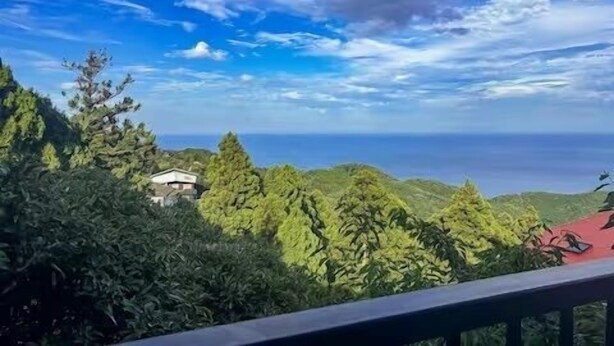 A view of a coastal landscape with dense greenery and a house with a red roof. - Greenmist Atami Shizenkyo (Atami)