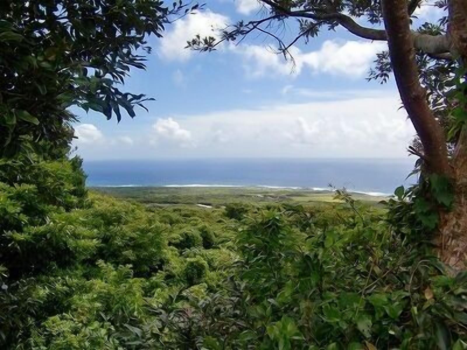 Uma paisagem verde exuberante com vista para o oceano.