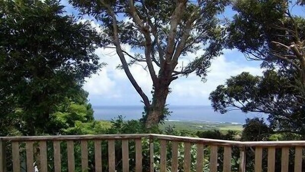 A wooden deck with a curved railing overlooking a landscape with trees and a distant view. - K2 Cottage (Hachijo)
