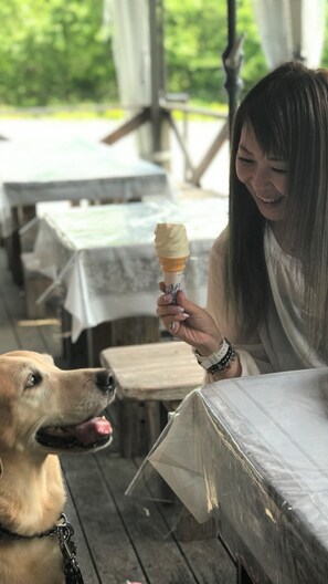 Khu ẩm thực ngoài trời