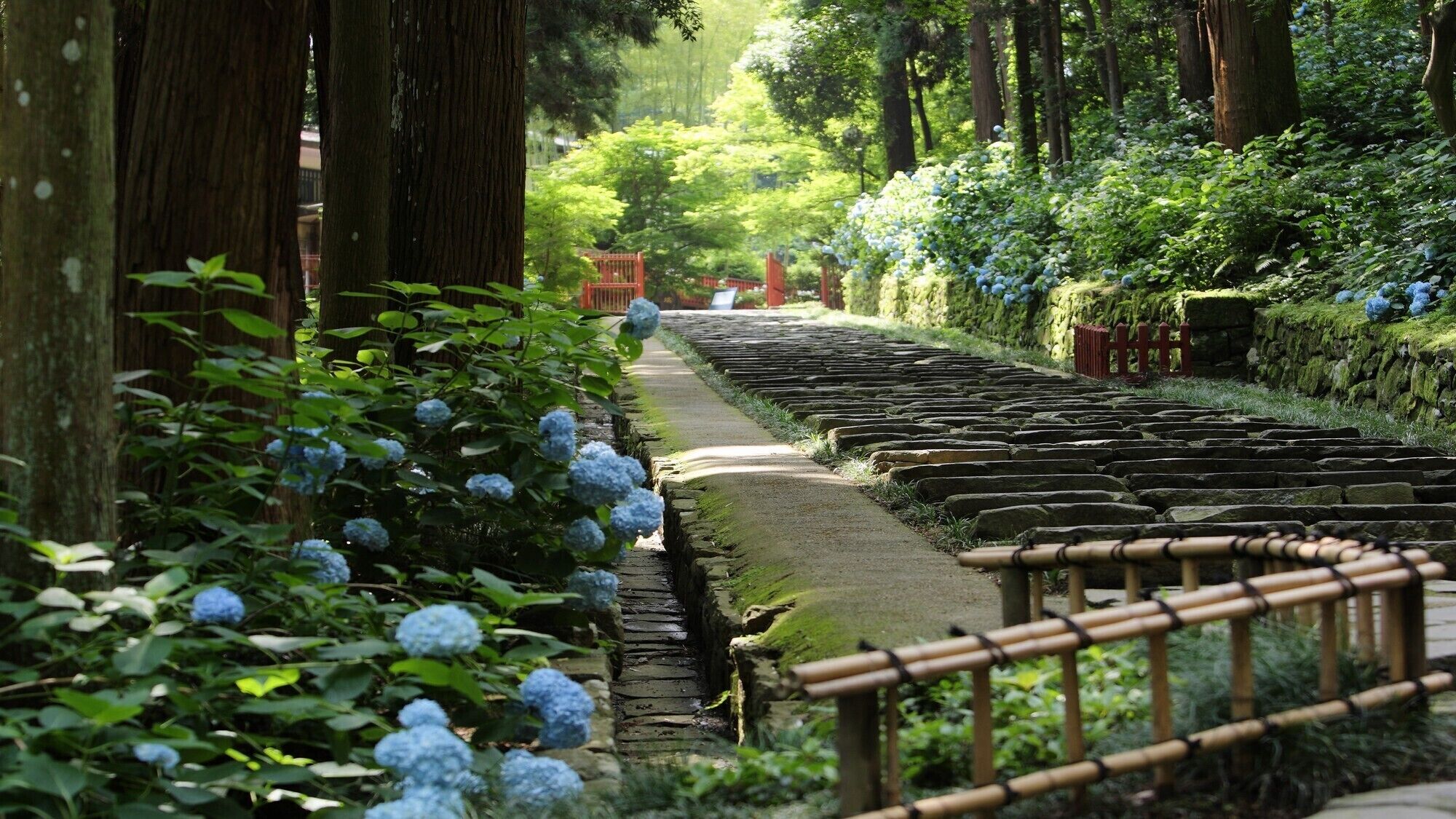 住宿地面