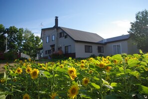 Una casa a due piani con tetto spiovente, un camino e un'antenna parabolica. In primo piano, un campo di girasoli.