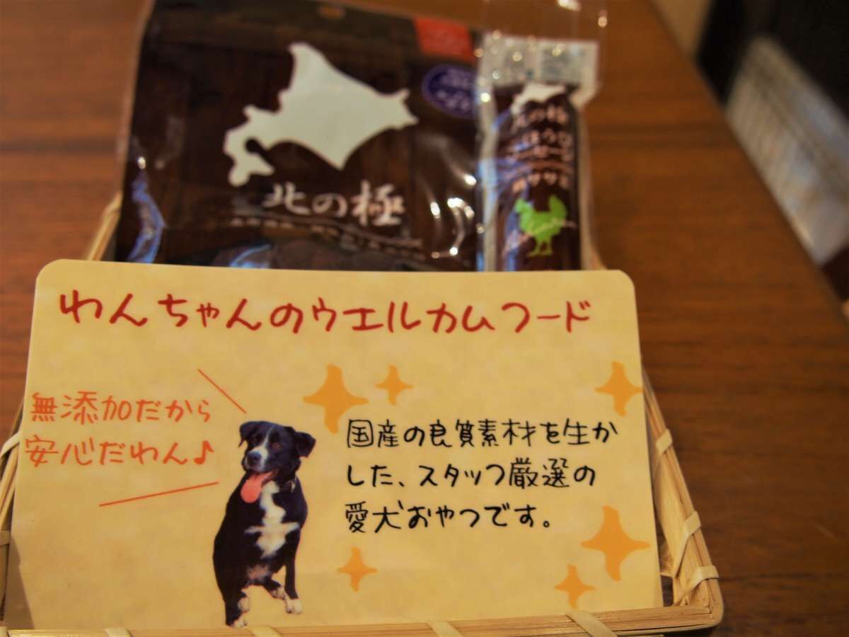 ペット同伴可