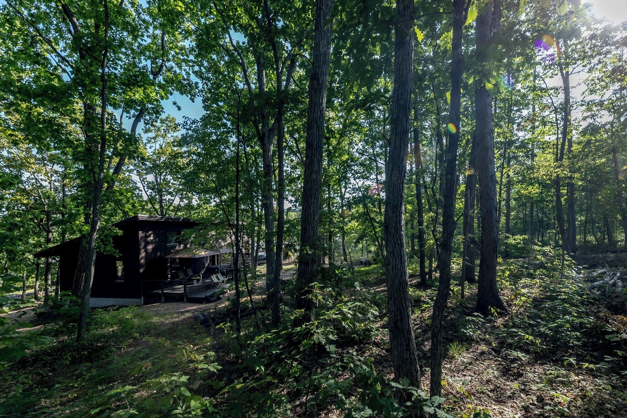 Property grounds