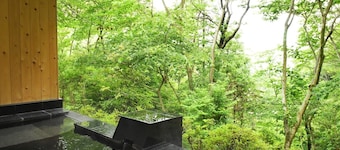 Atami Morino Onsen Hotel