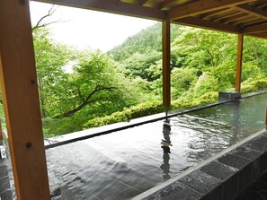 Spa - Atami Morino Onsen Hotel (Atami)