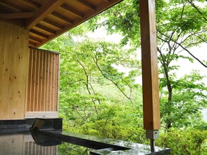 Spa - Atami Morino Onsen Hotel (Atami)