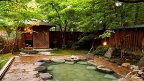 Um jardim japonês tradicional com lago de carpas, lanternas de pedra e uma estrutura de madeira.