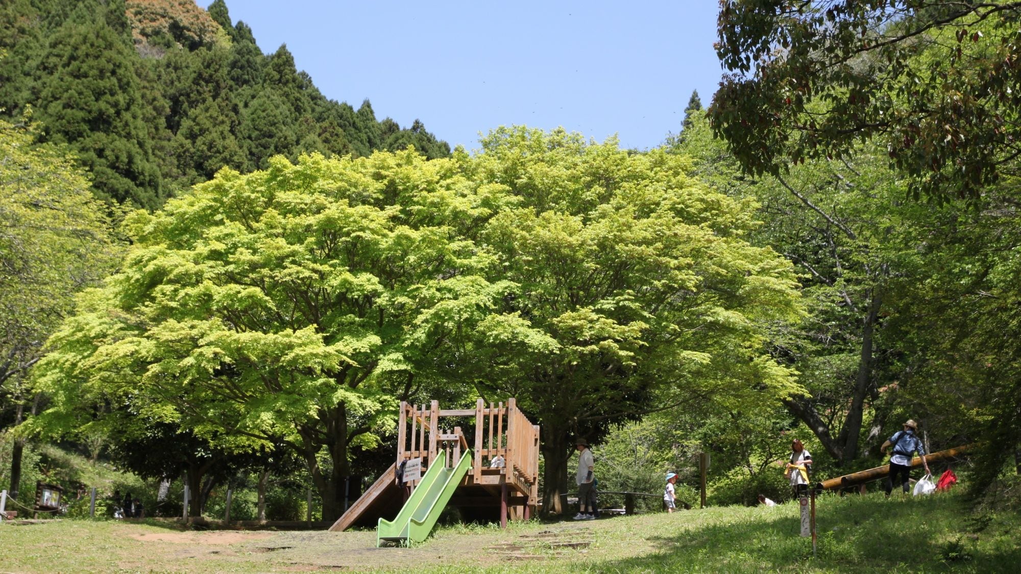 Um parquinho com um escorrega e uma pequena estrutura de madeira, cercado por árvores verdes exuberantes.