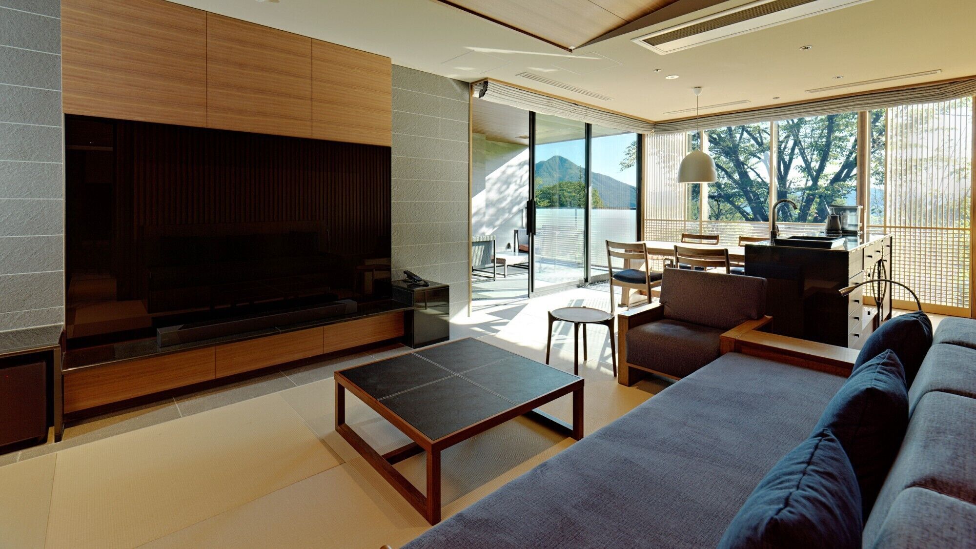 A modern living room with a flat-screen TV, a sofa, a coffee table, and a dining area with chairs and a table.