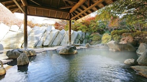 Spa - Akiu Onsen Ryokusuitei (Sendai)