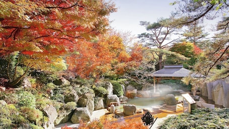 スパ. 秋保温泉 篝火の湯 緑水亭
