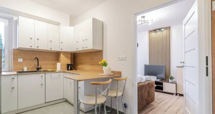 Gliwice Homely Apartment