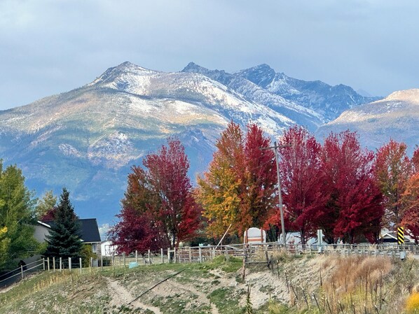 Eine gebirgige Landschaft mit herbstlich gefärbten Bäumen und einem klaren Himmel.