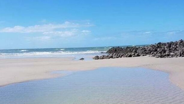 A beach with clear shallow waters, a starfish on the sand, and a rocky shoreline. - Pet Friendly Coastal Stay Near The Beach. (Bundaberg)