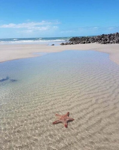Pet Friendly Coastal Stay Near The Beach.