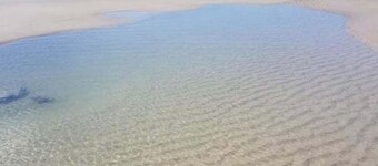 Pet Friendly Coastal Stay Near The Beach.