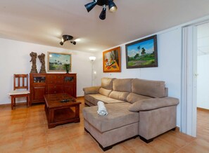 TV, fireplace - Rural property with pool in Can Picafort (Can Picafort)