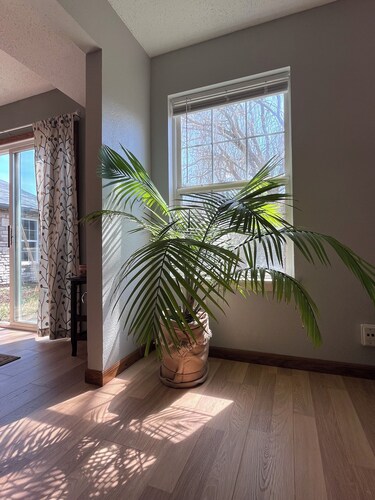 Wonderful 3-bedroom home in Indianapolis! With brand new flooring and carpet!