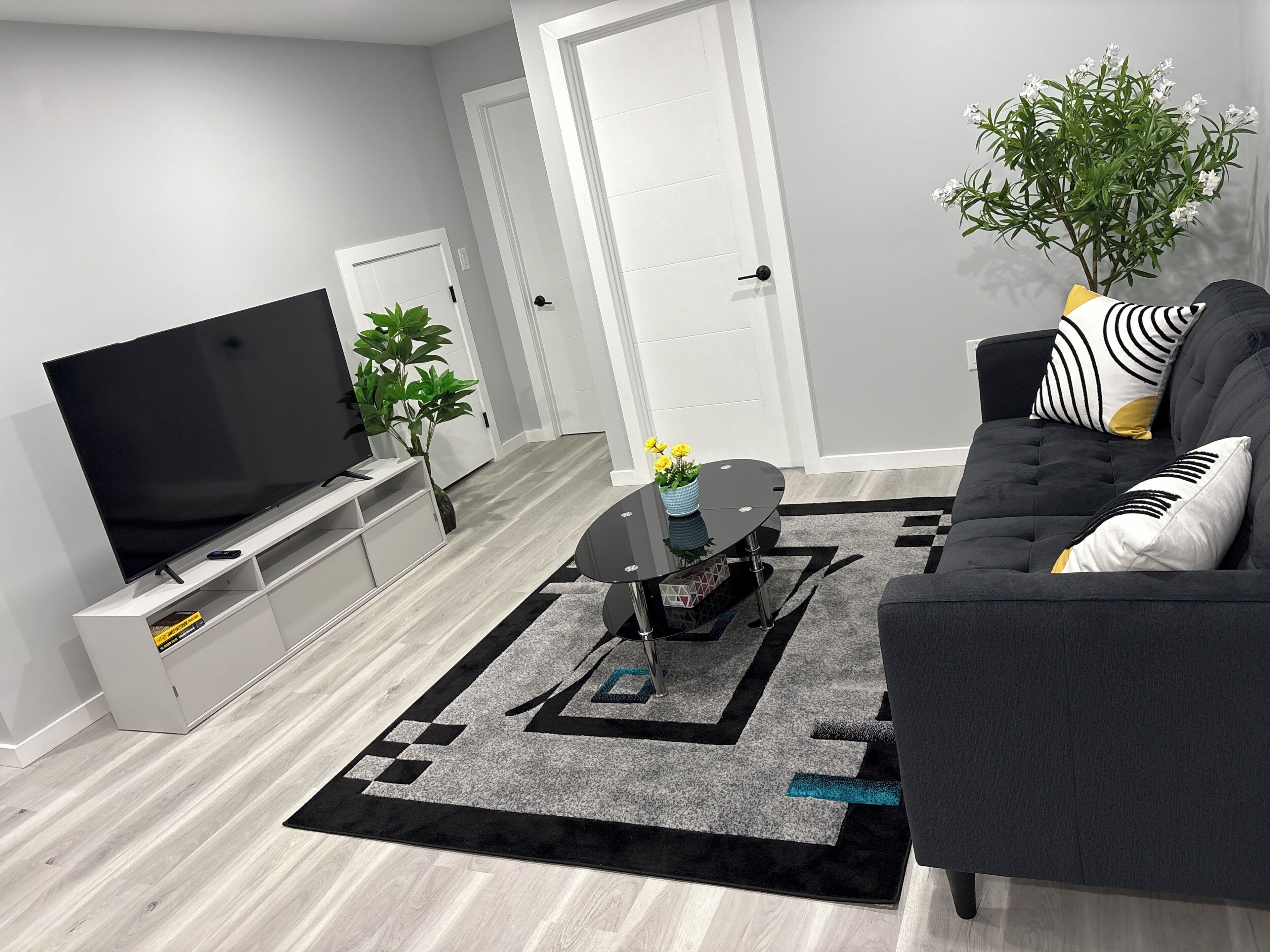 Una sala de estar moderna con un televisor de pantalla plana, un sofá, una mesa de centro, una planta en maceta y una alfombra.