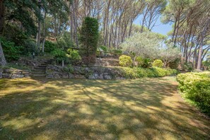 A stone staircase leading up to a wooden deck surrounded by lush greenery and trees. - DS-1 Wonderful Duplex, in community with pool (Calella de Palafrugell)