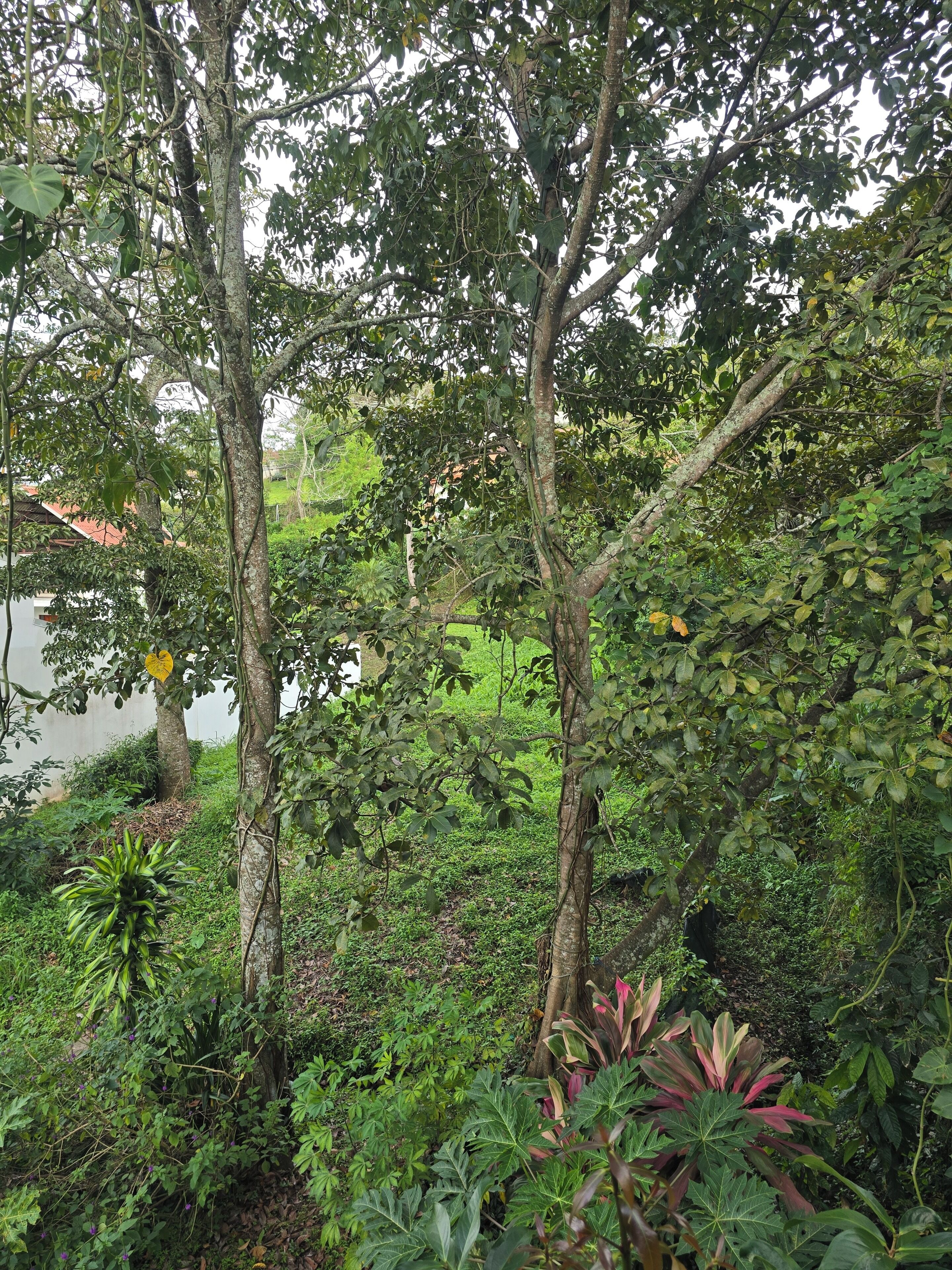 Parco della struttura