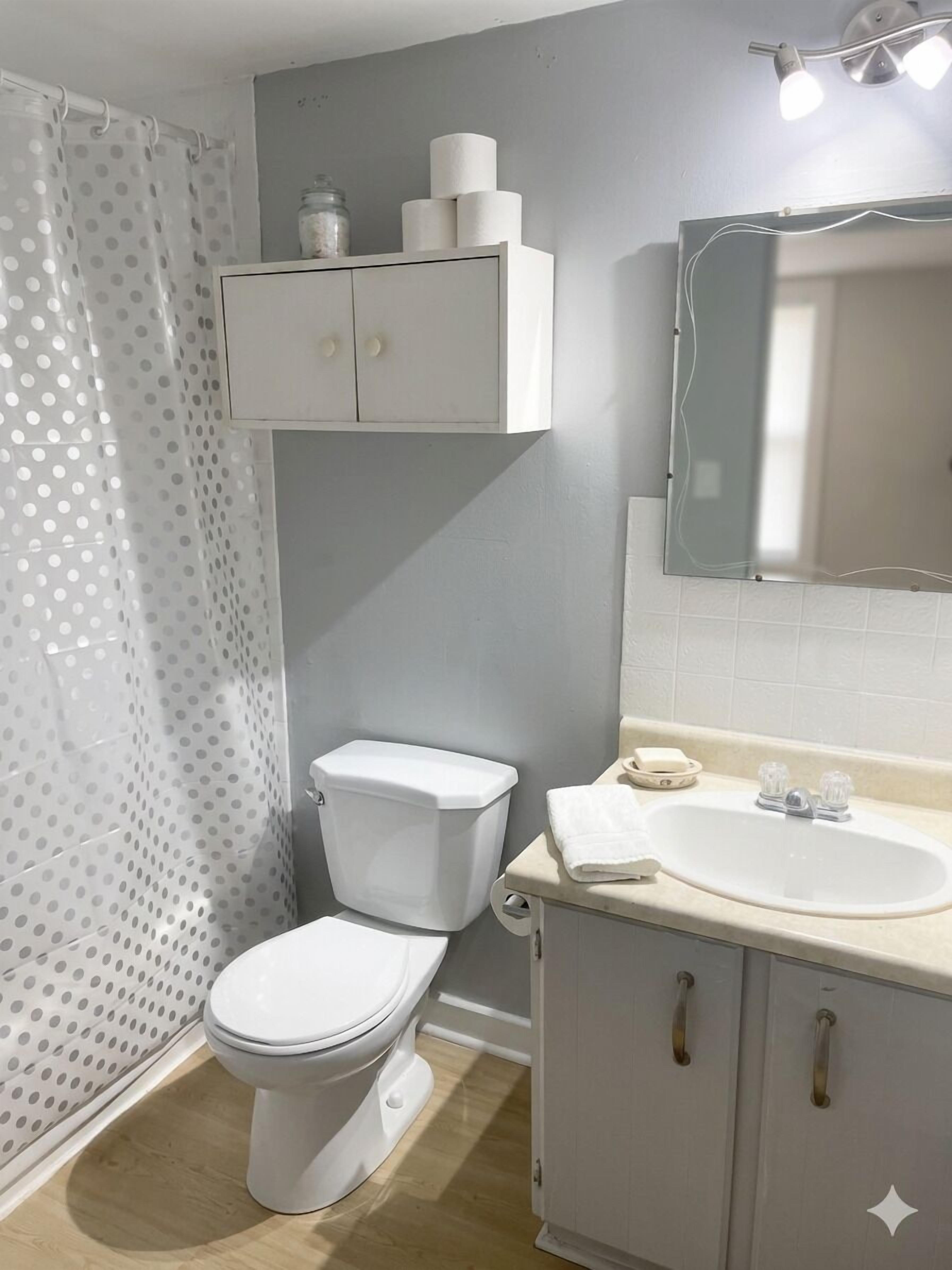 Hair dryer, towels, soap, toilet paper