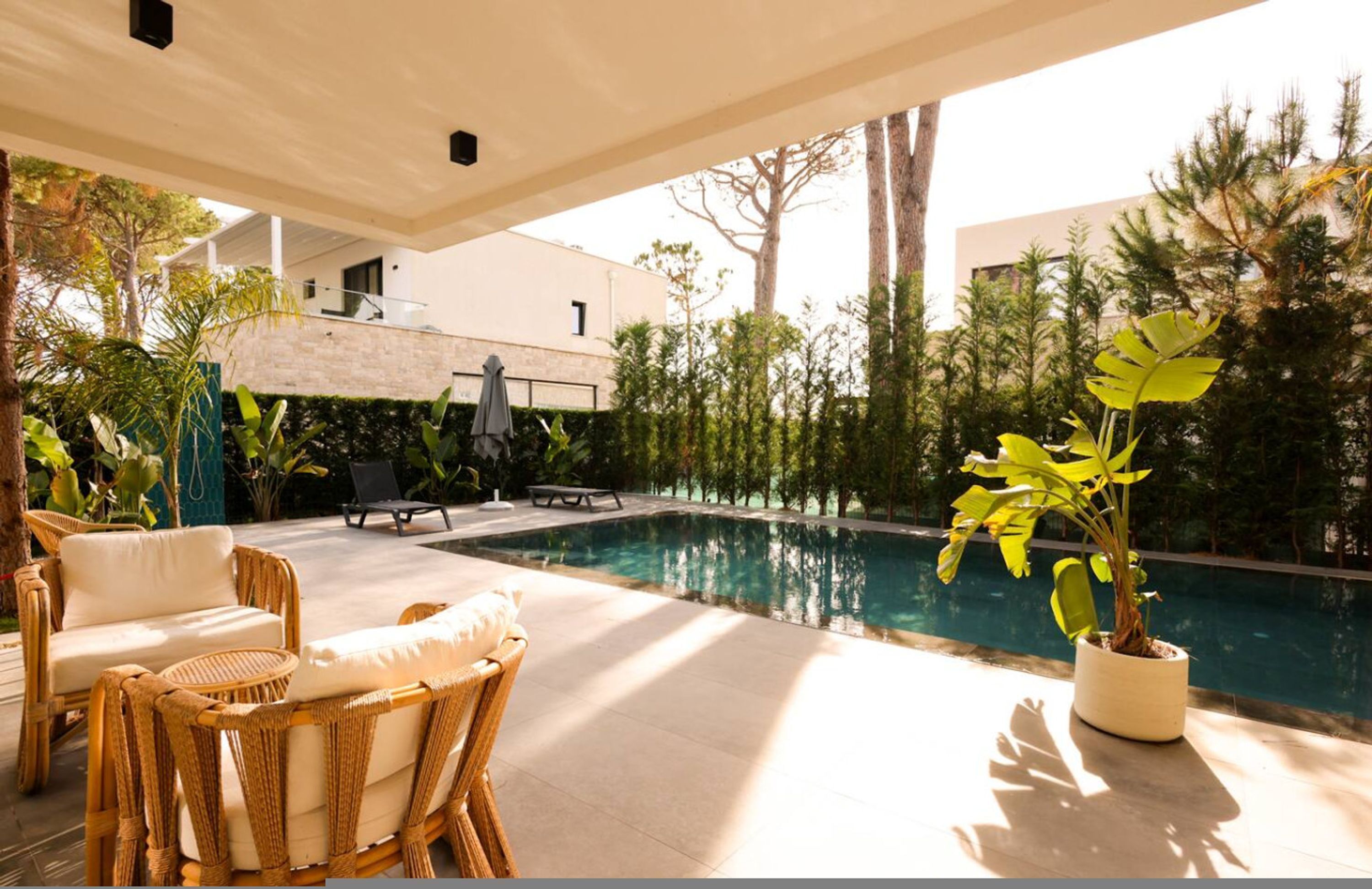 A poolside area with wicker furniture, a potted plant, and a view of a building in the background.