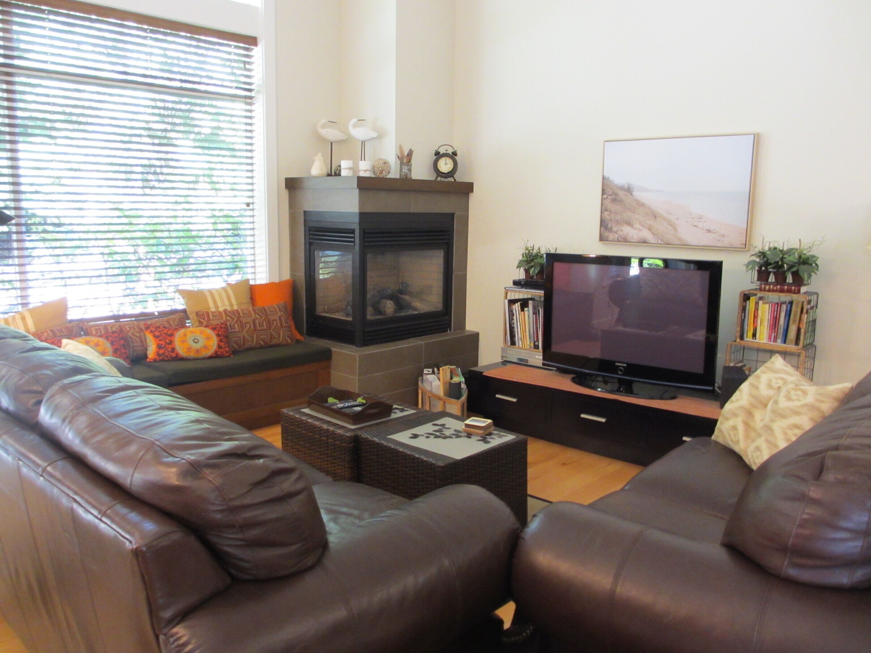TV, fireplace
