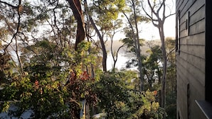 Un espacio al aire libre con árboles y vistas a un cuerpo de agua.